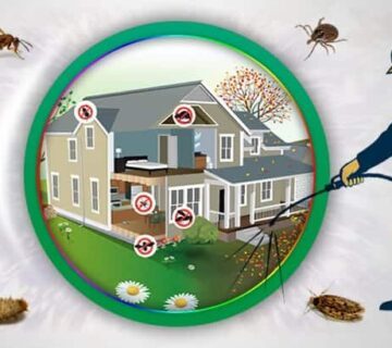 شركة مكافحة حشرات | Pest control company