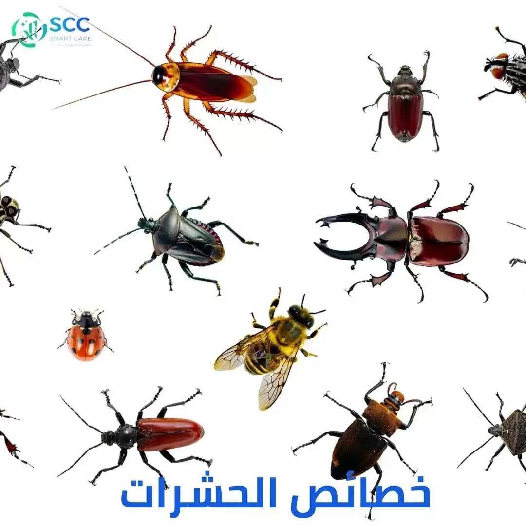 خصائص الحشرات