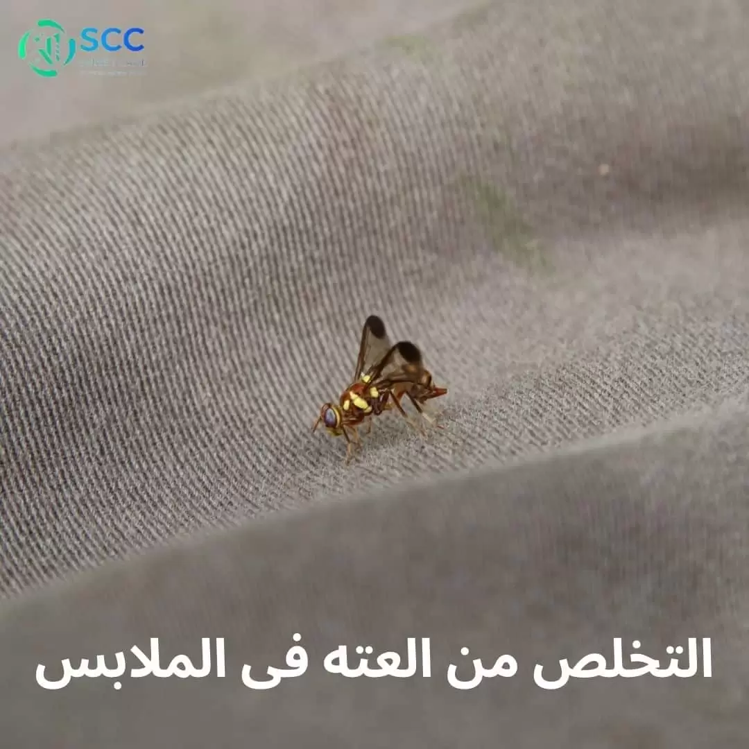 التخلص من العته