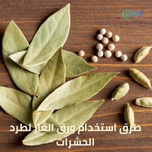 فوائد ورق الغار