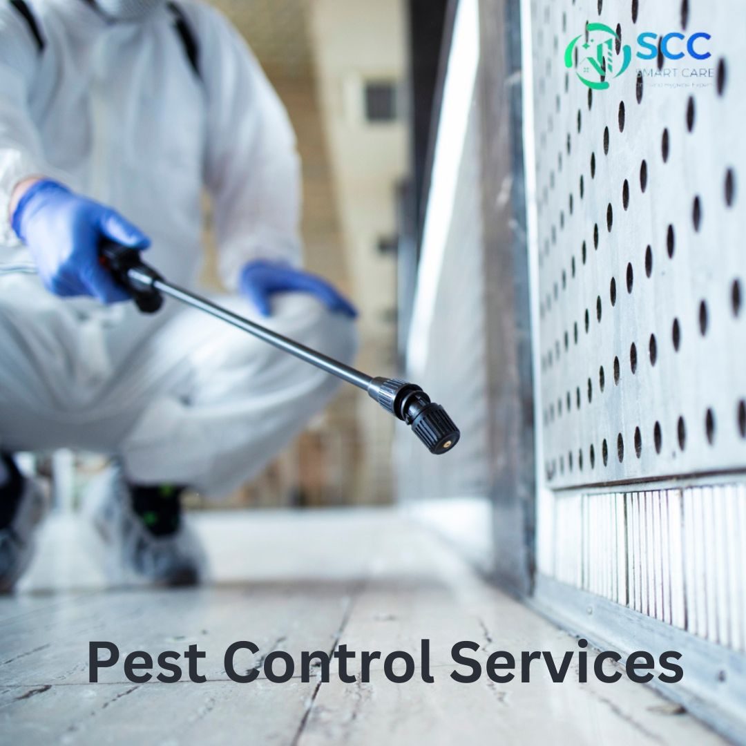 Pest control services in Abu Dhabi