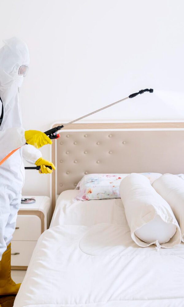 bed bug control service