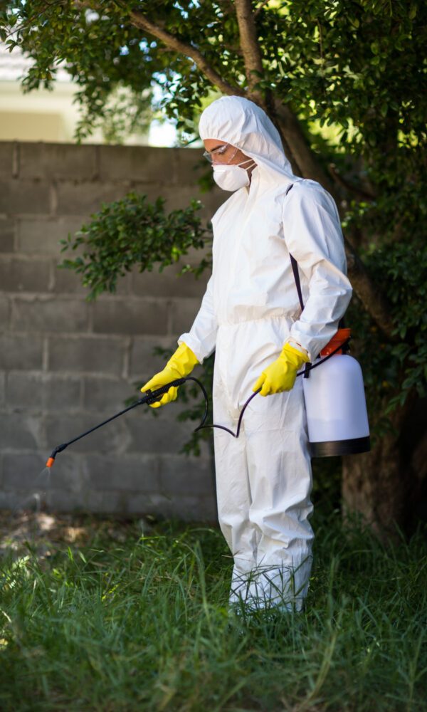 pest control services