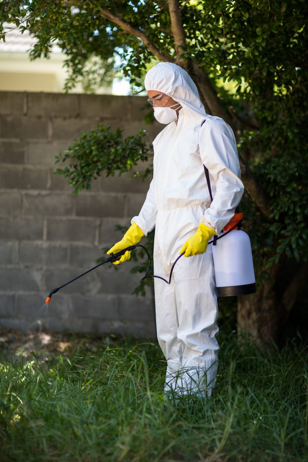 pest control services