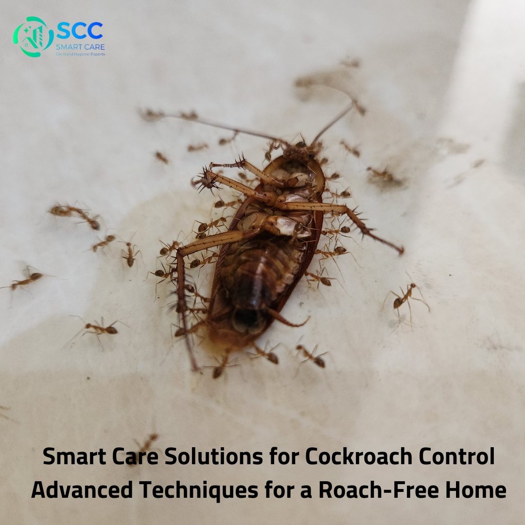  Cockroach Control 