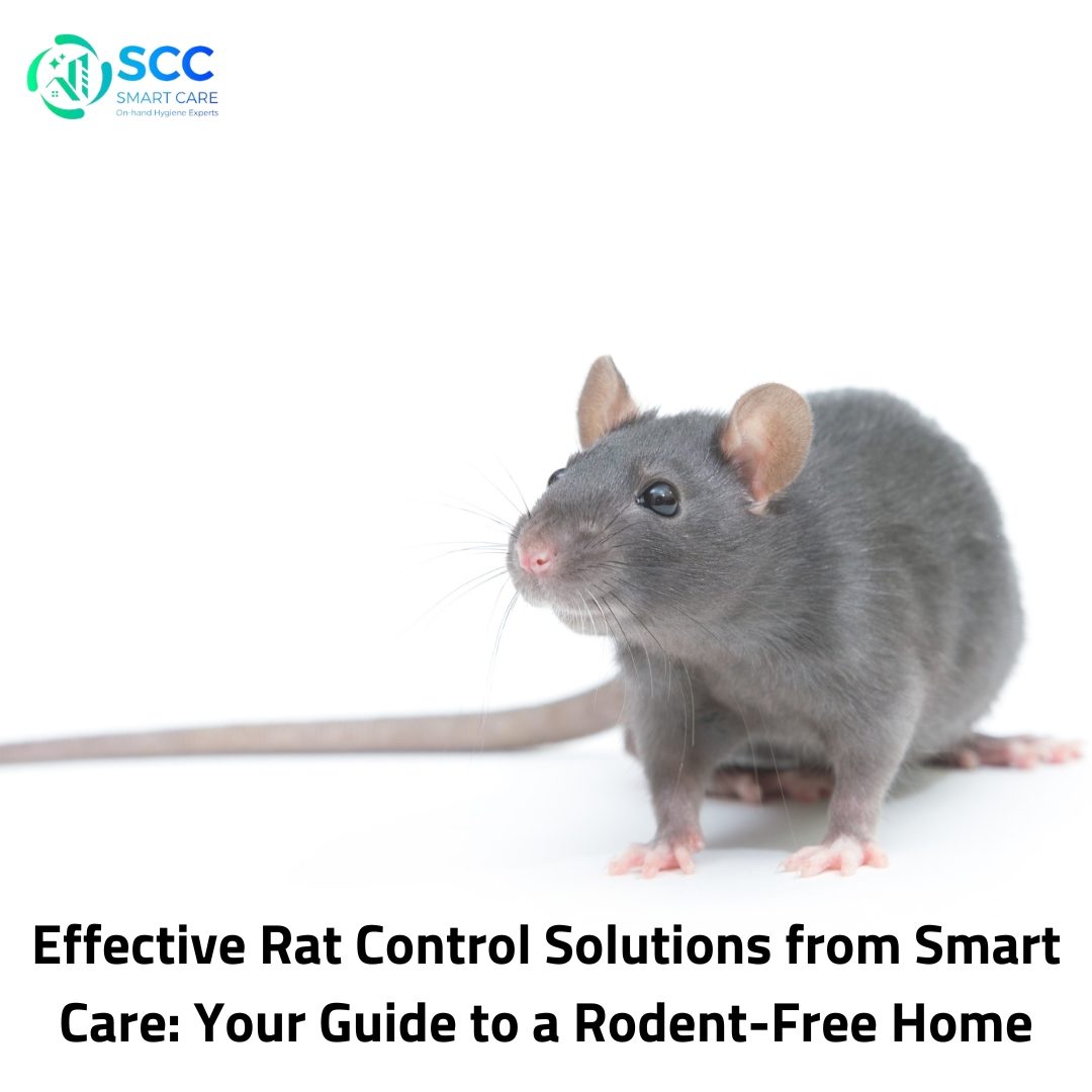 Rat Control