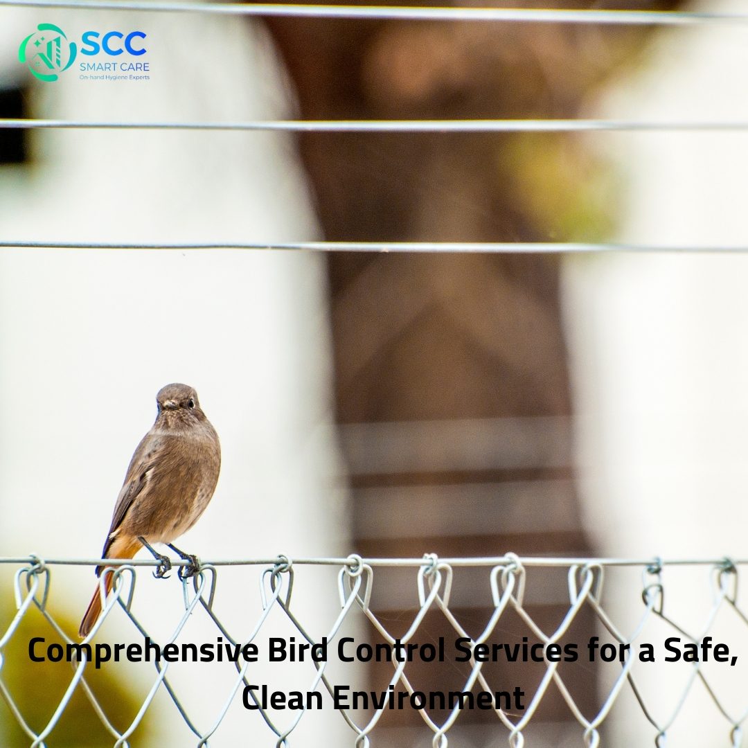 bird control services