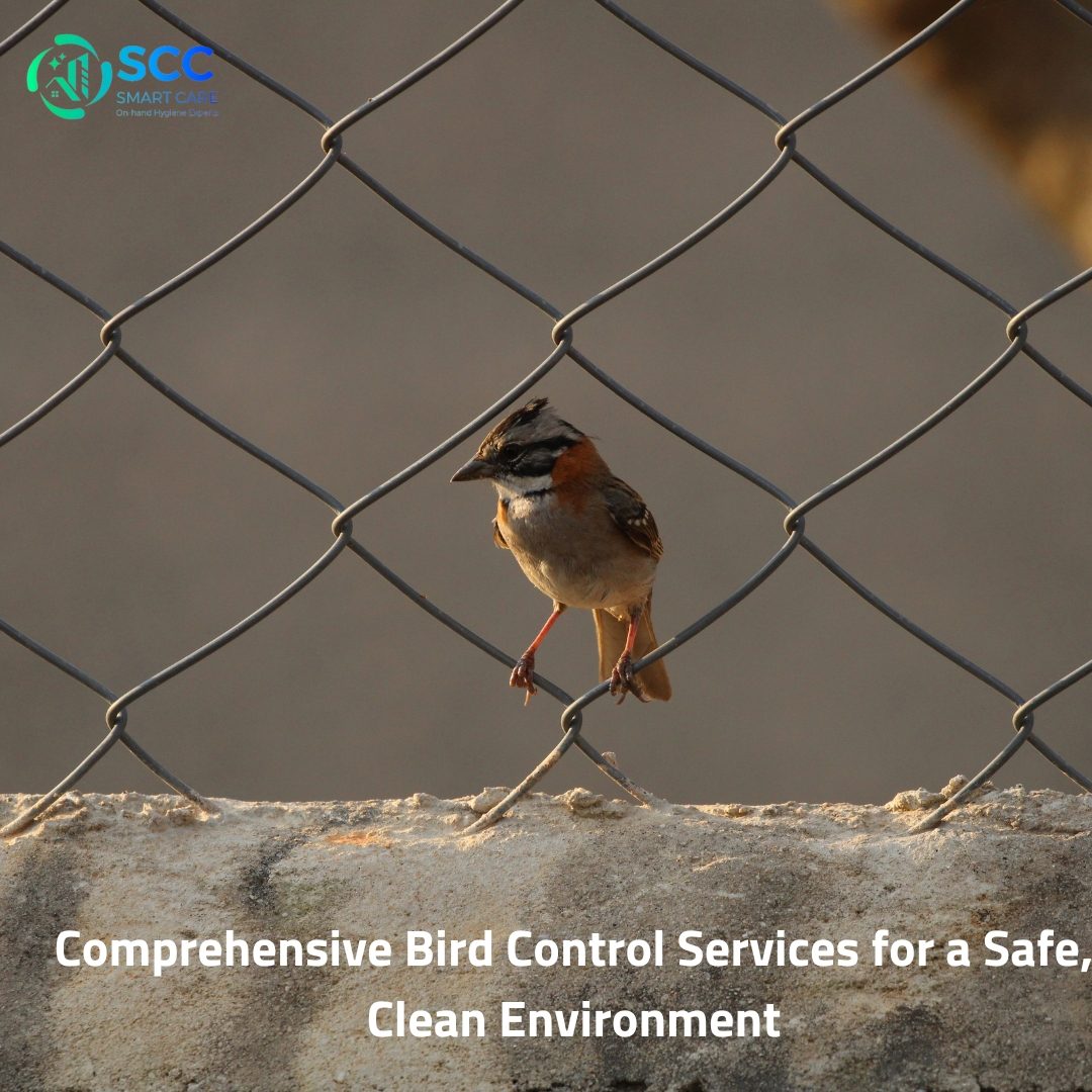 bird control services