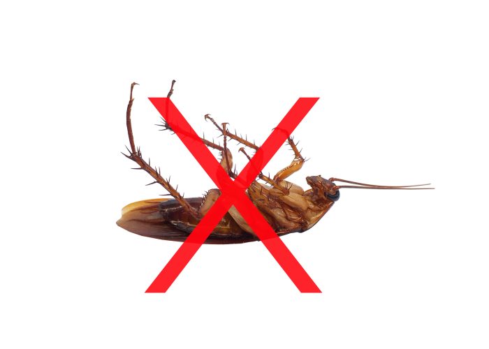 مكافحة الصراصير | Cockroach control