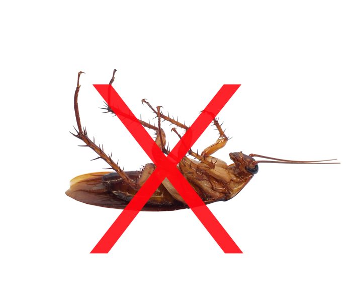 مكافحة الصراصير | Cockroach control